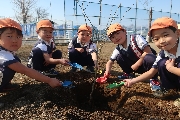 ３月１４日(火) みんなで植えた記念樹🌳